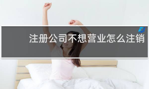 注册公司不想营业怎么注销