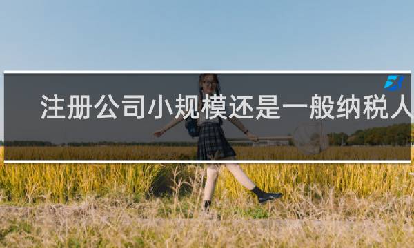 注册公司小规模还是一般纳税人好