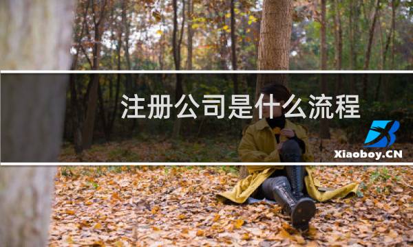 注册公司是什么流程