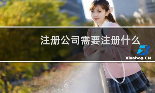 注册公司需要注册什么