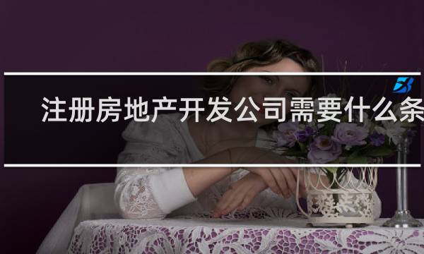 注册房地产开发公司需要什么条件