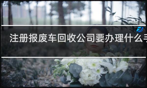 注册报废车回收公司要办理什么手续