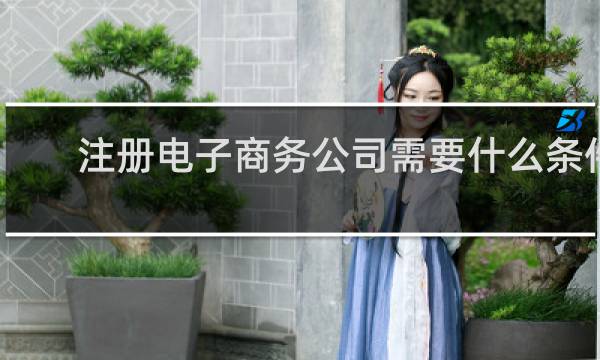 注册电子商务公司需要什么条件