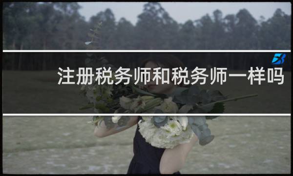 注册税务师和税务师一样吗