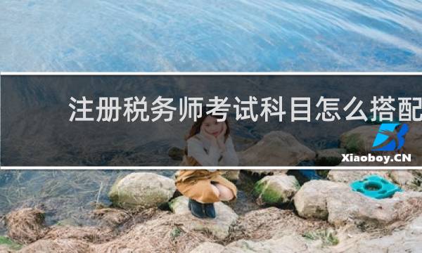 注册税务师考试科目怎么搭配