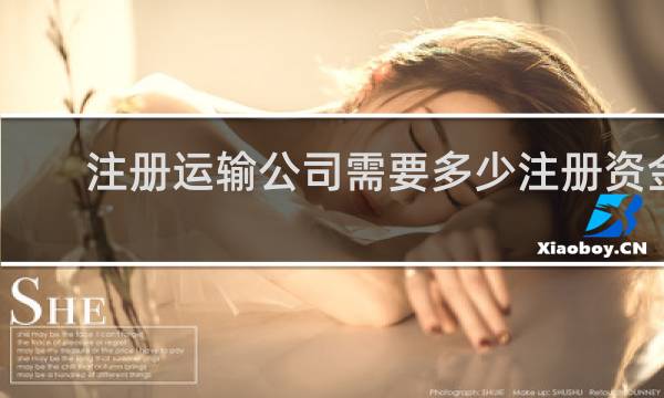 注册运输公司需要多少注册资金