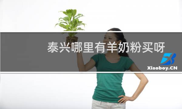 泰兴哪里有羊奶粉买呀