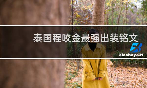 泰国程咬金最强出装铭文