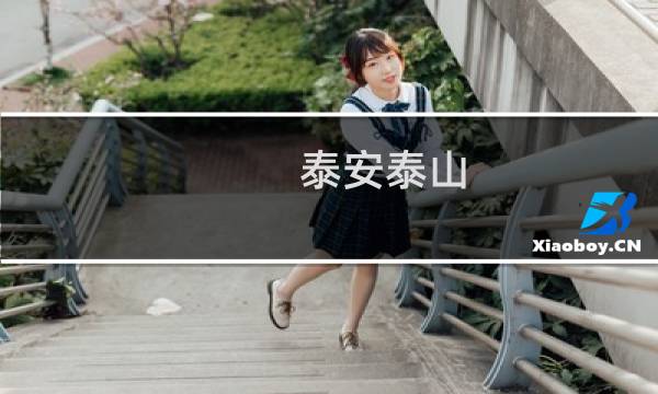 泰安泰山 門票