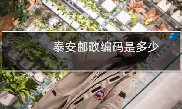 泰安邮政编码是多少
