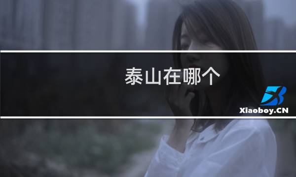 泰山在哪个