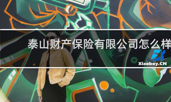 泰山财产保险有限公司怎么样