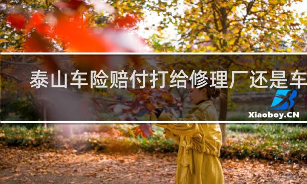 泰山车险赔付打给修理厂还是车主
