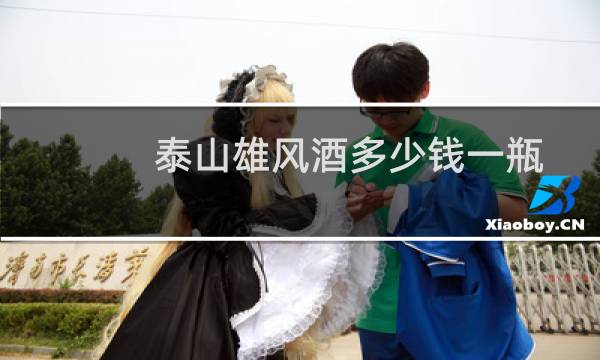 泰山雄风酒多少钱一瓶