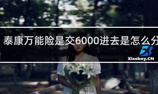 泰康万能险是交6000进去是怎么分配的