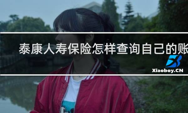 泰康人寿保险怎样查询自己的账户