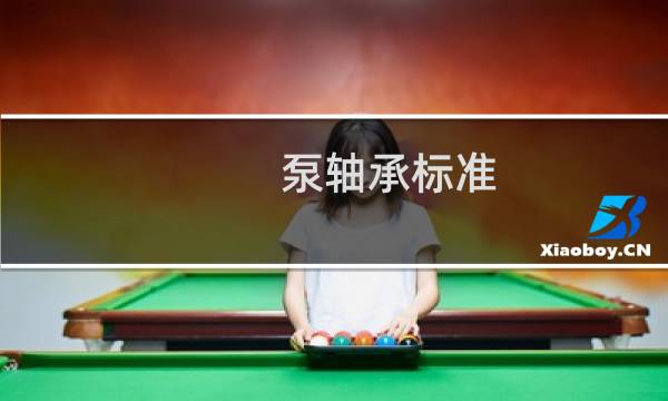 泵轴承标准