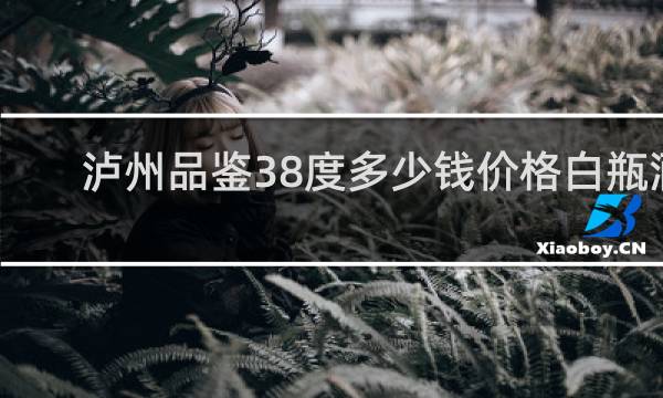 泸州品鉴38度多少钱价格白瓶酒