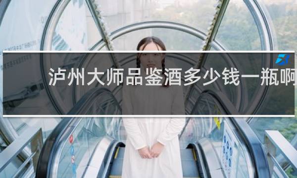 泸州大师品鉴酒多少钱一瓶啊