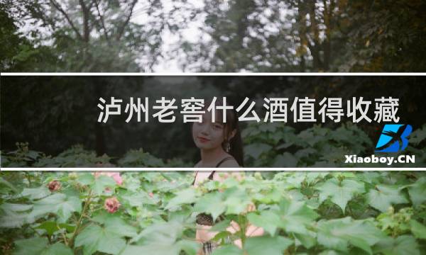 泸州老窖什么酒值得收藏