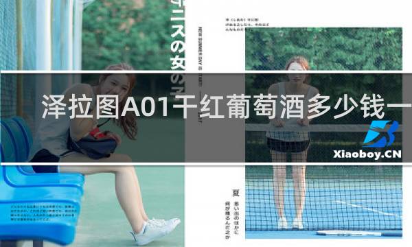 泽拉图A01干红葡萄酒多少钱一瓶
