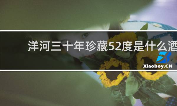 洋河三十年珍藏52度是什么酒