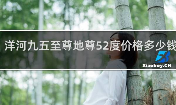 洋河九五至尊地尊52度价格多少钱一瓶