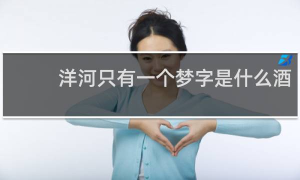 洋河只有一个梦字是什么酒