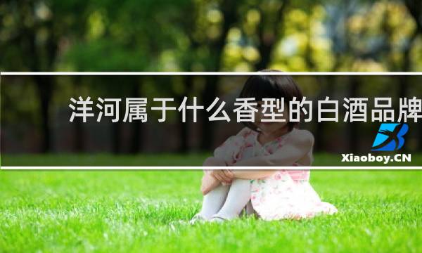 洋河属于什么香型的白酒品牌