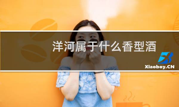 洋河属于什么香型酒