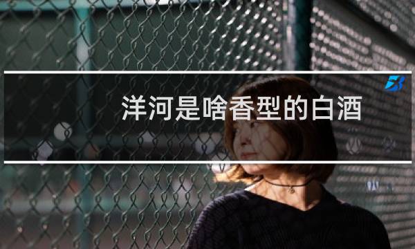 洋河是啥香型的白酒