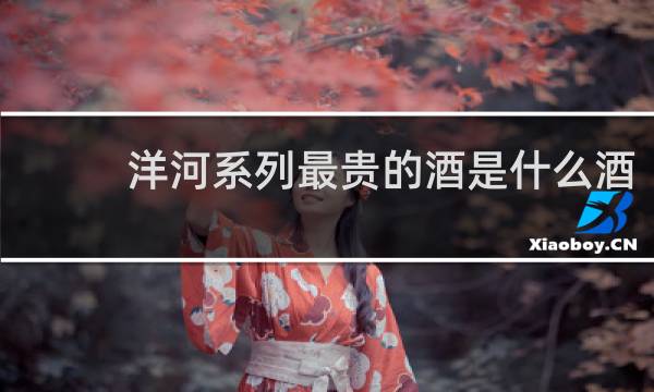 洋河系列最贵的酒是什么酒
