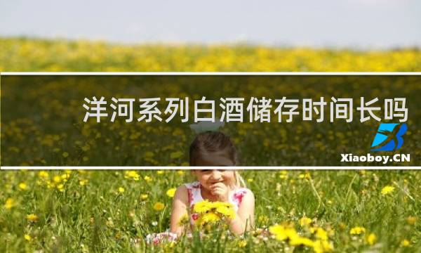 洋河系列白酒储存时间长吗