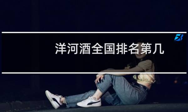 洋河酒全国排名第几