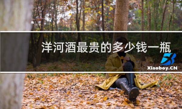洋河酒最贵的多少钱一瓶?