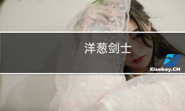 洋葱剑士 攻略