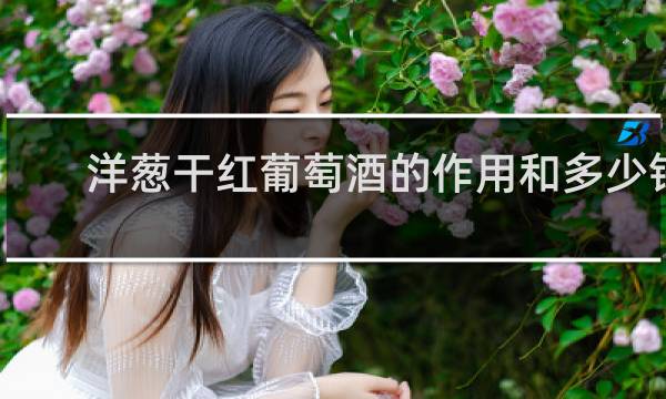 洋葱干红葡萄酒的作用和多少钱