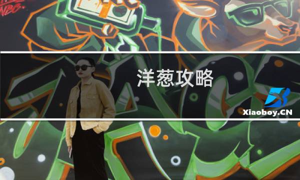 洋葱攻略