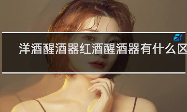 洋酒醒酒器红酒醒酒器有什么区别