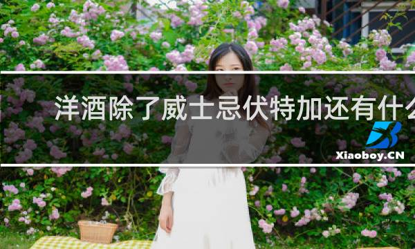 洋酒除了威士忌伏特加还有什么