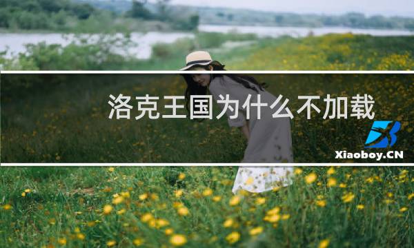 洛克王国为什么不加载