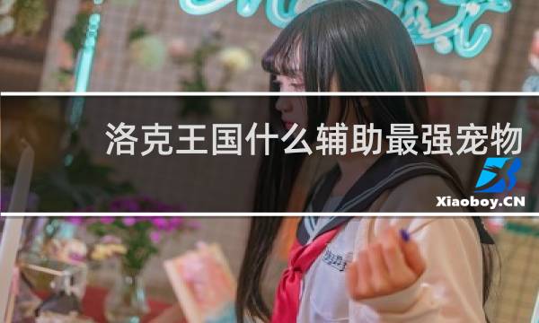 洛克王国什么辅助最强宠物