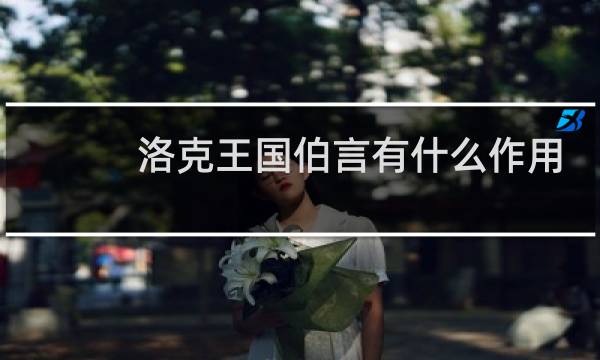 洛克王国伯言有什么作用