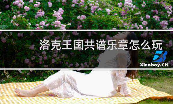 洛克王国共谱乐章怎么玩