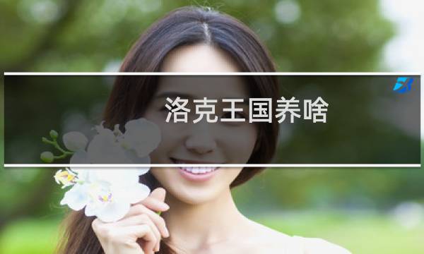 洛克王国养啥