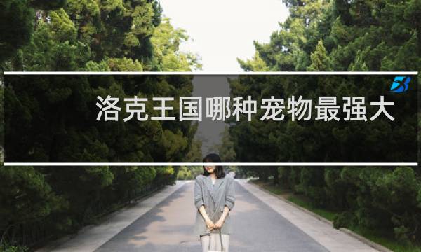 洛克王国哪种宠物最强大