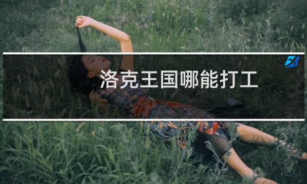 洛克王国哪能打工