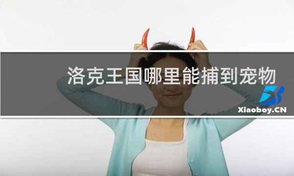 洛克王国哪里能捕到宠物