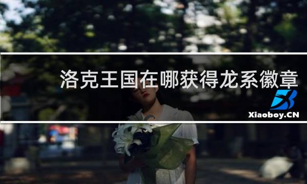 洛克王国在哪获得龙系徽章