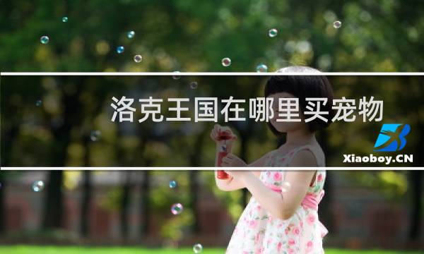 洛克王国在哪里买宠物